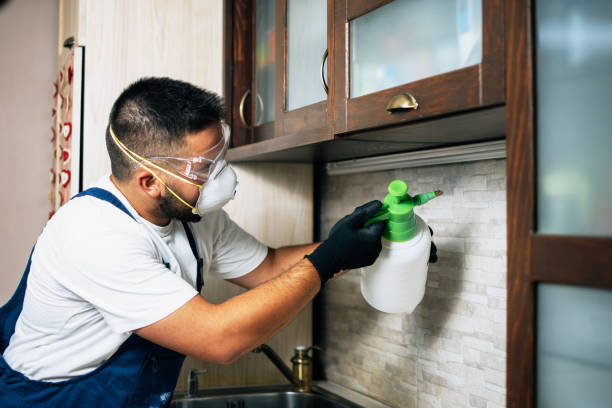 Best Commercial Pest Control Services  in Lorado Springs, CO