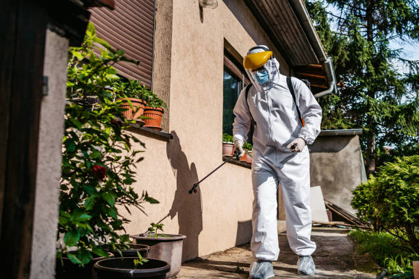 Trusted Colorado Springs, CO Pest Control Experts
