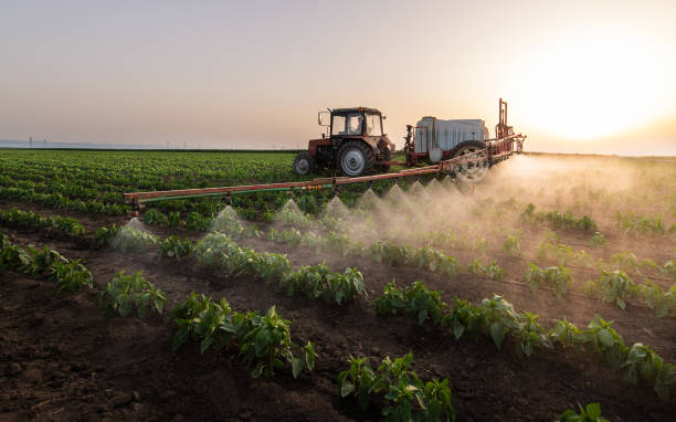 Best Cockroach Control Services  in Lorado Springs, CO