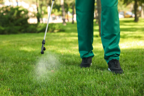 Best Mosquito Control Services  in Lorado Springs, CO