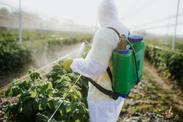 Best Residential Pest Control  in Lorado Springs, CO